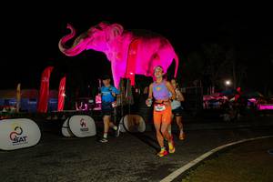 BIB: 
                            <button type="button" onclick="openModal(26534490)" class="btn btn-primary btn-sm float-right btn-popup" data-toggle="modal" data-target=".modal-high-quality">
                        <i class="fas fa-shopping-cart"></i> Add to Cart
                    </button>
                                            <button type="button" onclick="isThisMe(26534490, true)" class="btn btn-success btn-sm float-right btn-popup btn-isme hidden" data-toggle="tooltip" data-placement="bottom" title="นี่คือรูปของคุณใช่ไหม คลิกที่นี่เพื่อเอาเข้าอัลบั้ม">
                        <i class="fas fa-plus"></i> Add to album
                    </button>
                    <button type="button" onclick="isThisMe(26534490, false)" class="btn btn-warning btn-sm float-right btn-popup btn-isnotme hidden">
                        <i class="fas fa-ban"></i> Remove from album
                    </button>